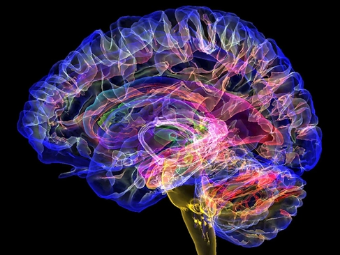 sp屄穴视频大脑植入物有助于严重头部损伤恢复